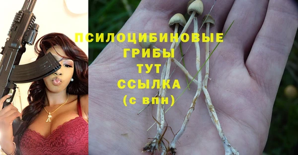 прущая мука Алзамай