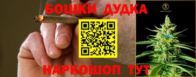 индика Бузулук