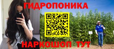 дживик Гагарин