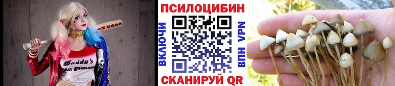 магазин продажи наркотиков  Елабуга  ОМГ ОМГ вход  Галлюциногенные грибы мицелий 
