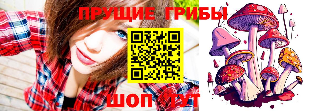 Галлюциногенные грибы MAGIC MUSHROOMS  Елабуга 